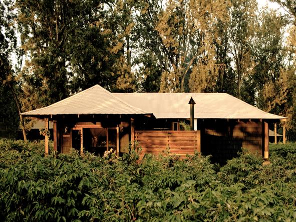 Arusha Coffee Lodge - view